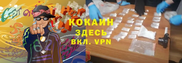 прущая мука Каменка