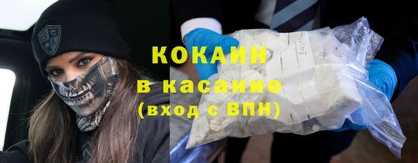прущие грибы Каменск-Шахтинский