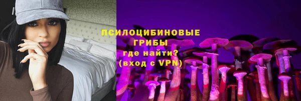 прущая мука Каменка