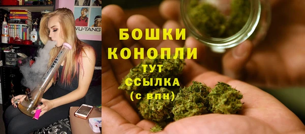 прущая мука Каменка