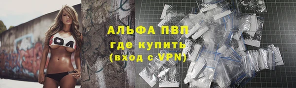 прущие грибы Каменск-Шахтинский