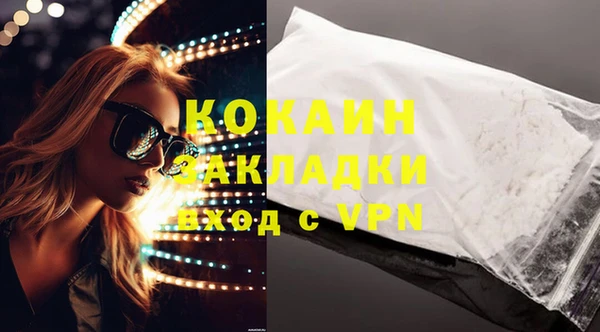 прущие грибы Каменск-Шахтинский
