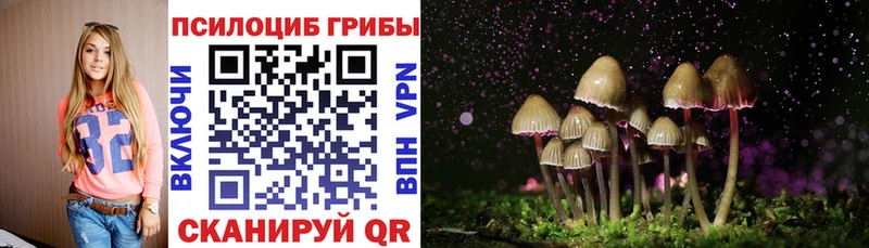 Галлюциногенные грибы MAGIC MUSHROOMS  Купить  Горнозаводск 